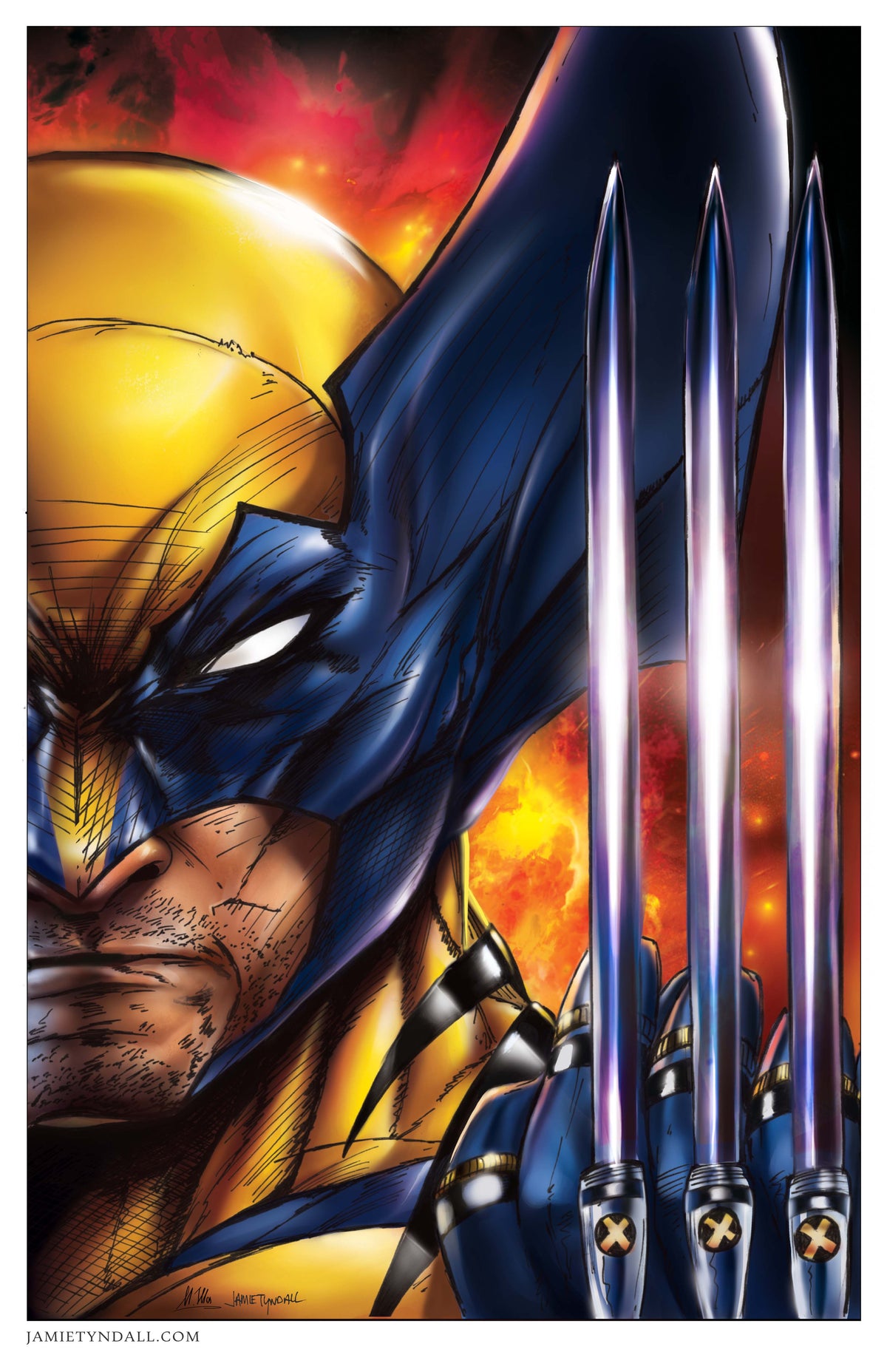 Wolverine Print