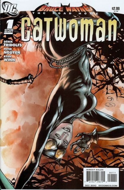 Bruce Wayne: The Road Home: Catwoman #1 (DC, 2010)