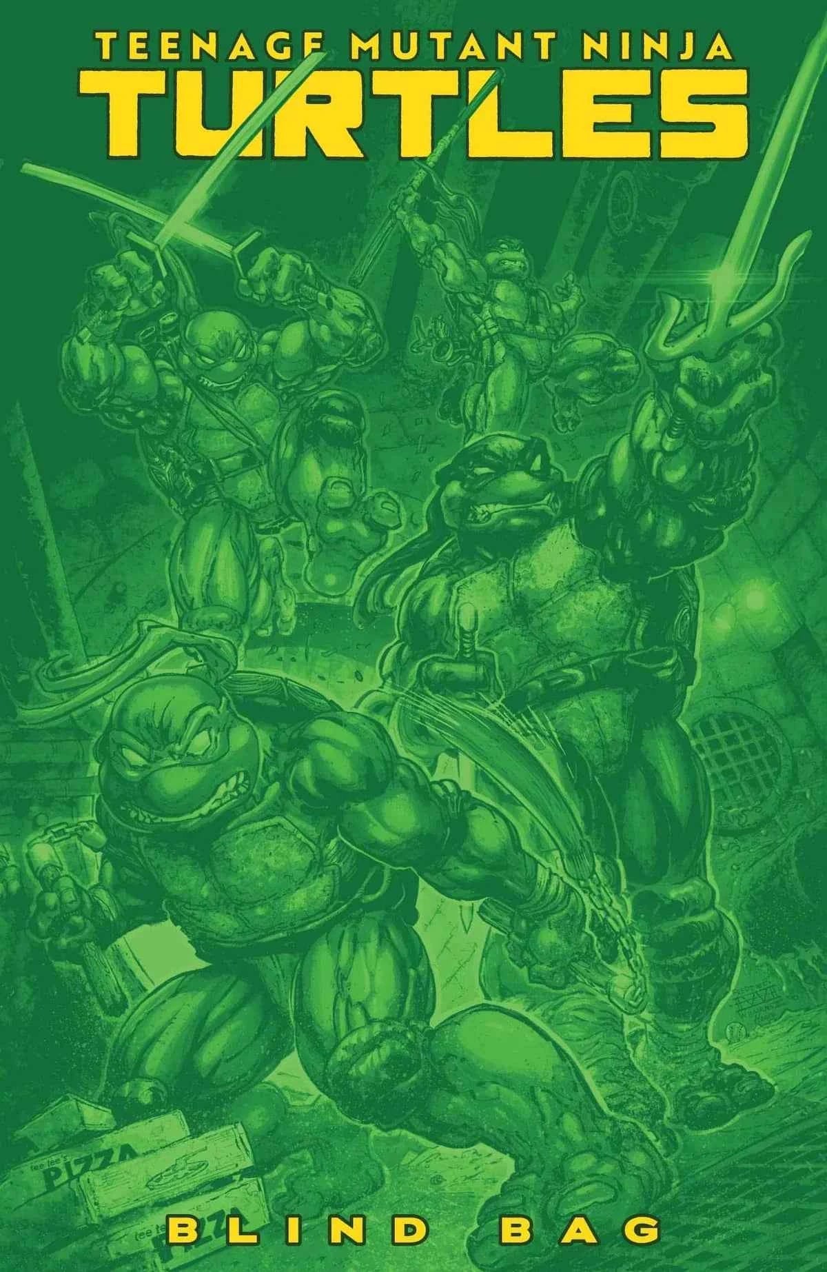 TMNT 13 Blind Bags (2024)